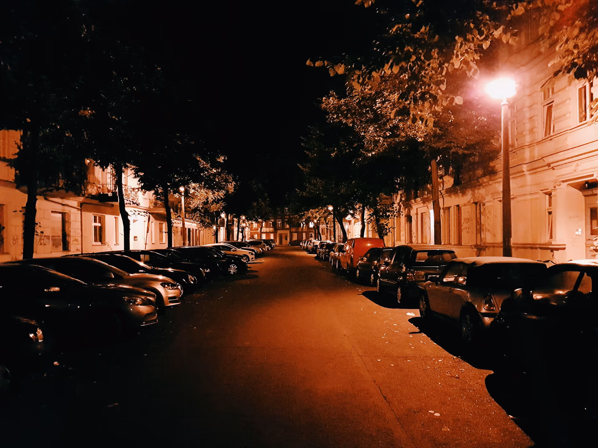 Cars parked along a tree-lined city street at night