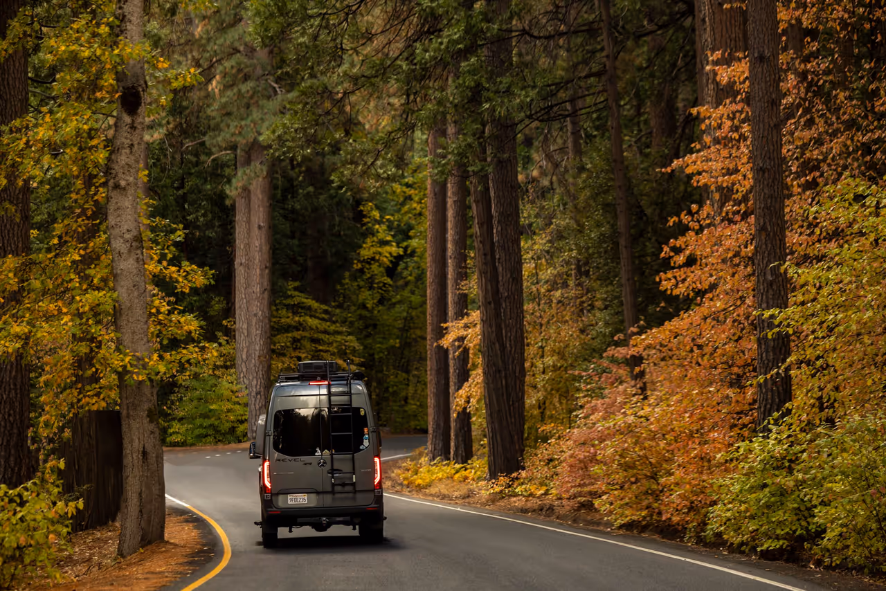 A camper van on a forest road lined with pines and fall color